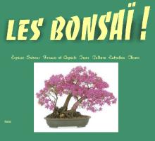 Les bonsai